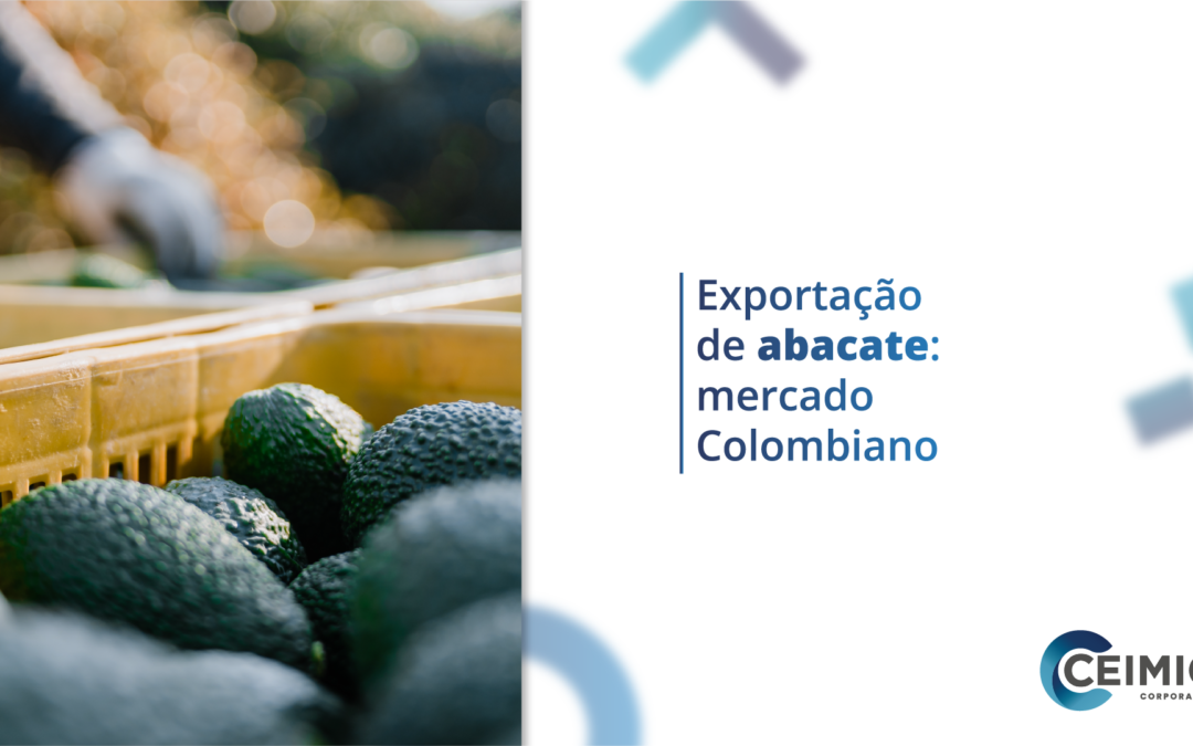 Exportação de abacate: mercado colombiano