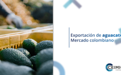 Exportación de aguacate: Mercado colombiano